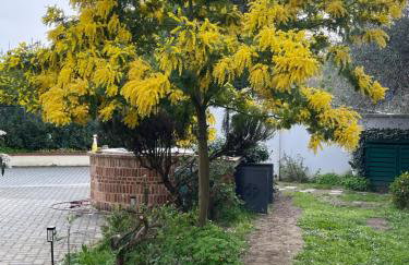 Casa Isabelle - Foto 2