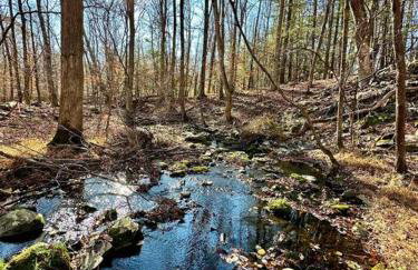 Relaxing Hudson Valley Getaway- 4BR Sauna 15 acres - Foto 44