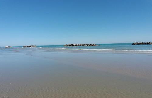 Giardino delle rose - Foto 45