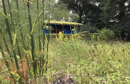 Das Blaue Haus - Foto 8