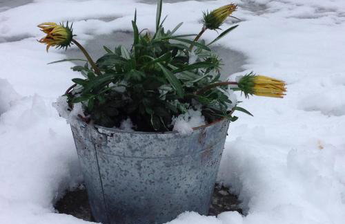 Marina's Stone Cottage - Foto 42