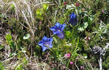 Chalet Helen - Foto 15