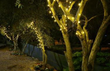 La Bouganvillea - Foto 37