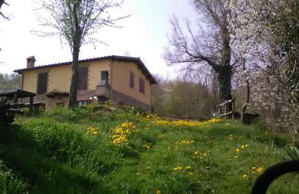 Il Gelso Rosso - Foto 13