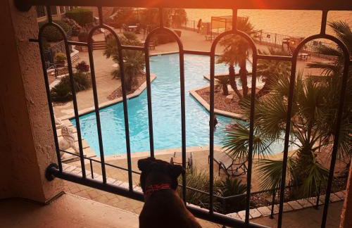 Lake Travis Stunning Waterfront, Sunset & Pool Views, Pet Friendly, Boat Ramp, Lago Vista, Texas - Foto 2