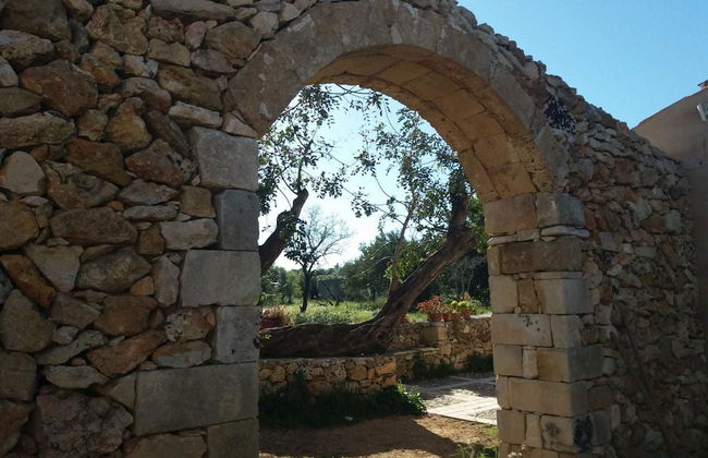 TerraMater - Foto 16