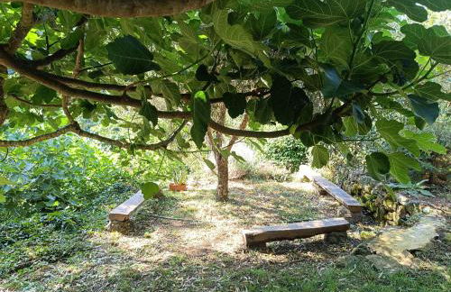 Casa El Prao - Photo 41