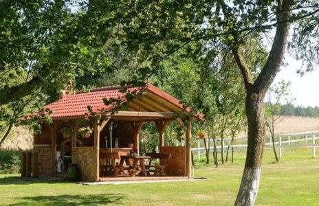 Agroturystyka BM Horse - Photo 14