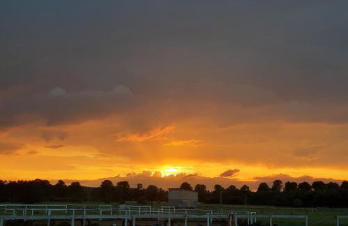 Samsara - Prawdziwa Agroturystyka - Photo 18