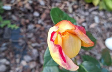 Biały domek nad stawem - Foto 49