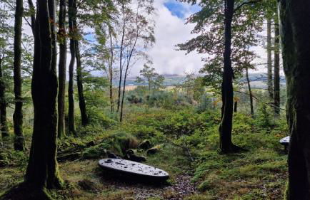 Nordlys Cottage - Foto 62