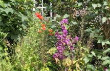 de lüt Ferienhof Jameln - Foto 14