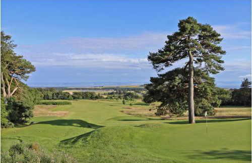 Woodland house - Foto 20