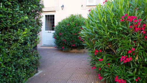 Casa Parco degli Ulivi - Foto 3