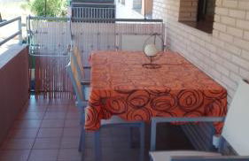 rosa sensat - Foto 8