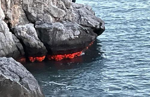 Luxury Penthouse: The Beacon at Punta de la Mona - Photo 48