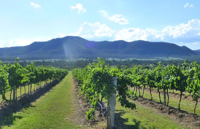 Winmark Wines - Foto 31