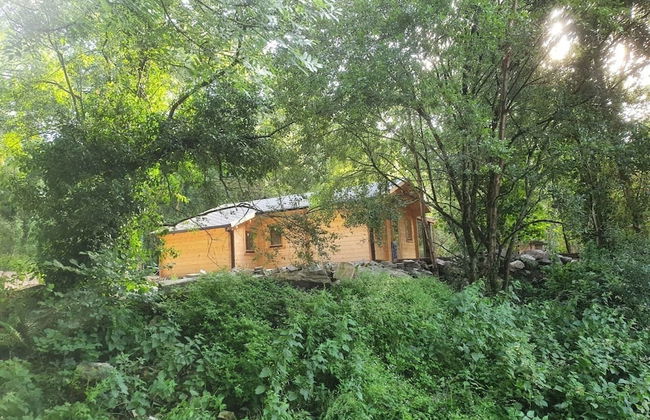 Log Cabin on the Lake - Sleeps 4 & Jacuzzi - Photo 22