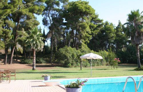 Terry Land Village - Foto 69