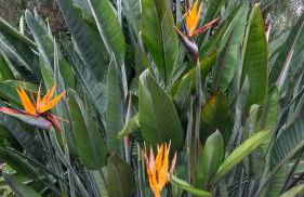 Feliz Apartments - Foto 67