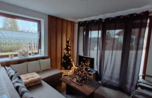 Ferienwohnung Seeblick Nr 1 ,Feldberg Bärental - Foto 31