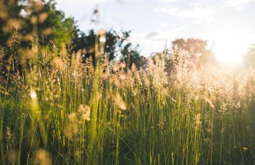 Gîte au calme avec jardin et wifi à Saint-Doulchard - FR-1-586-68 - Foto 22