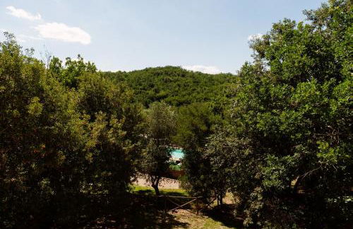 Per - Il Parco Dell'Energia Rinnovabile - Foto 32