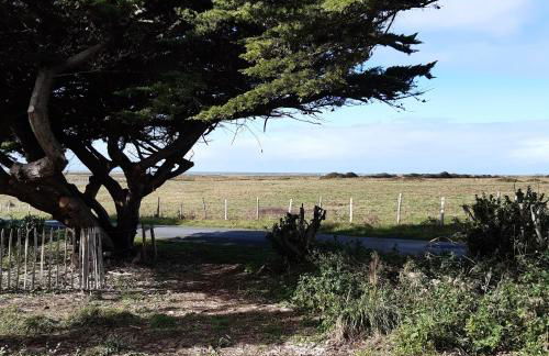 Les gîtes de Tréguennec - Photo 27