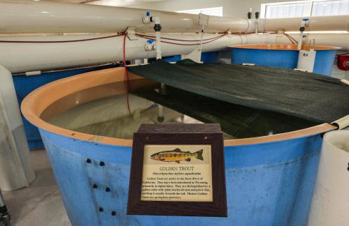 Spacious Home 10 Minutes to Ten Sleep Canyon! - Foto 26