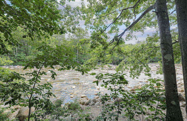 Loon Escape - Photo 50