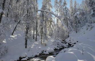La Mélézière-Cimes-Appartement Grand Confort 120m2 6 personnes - Foto 31