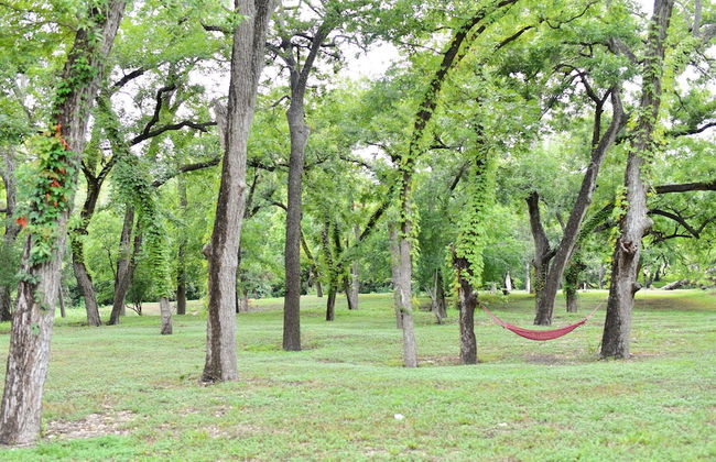 3 Son's Geronimo - Birdhouse Cabin - Foto 65