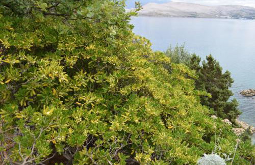 Villa Sortis and boat - Photo 64