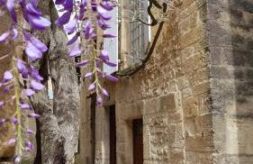 Le Rousseau Sarlat - Foto 1