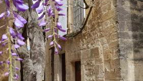 Le Rousseau Sarlat - Foto 1