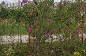 Scout Camp Duga - Foto 21