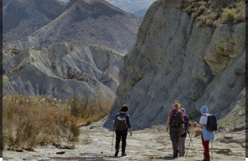 Casa Tropical, serene poolside retreat in nature - Foto 30