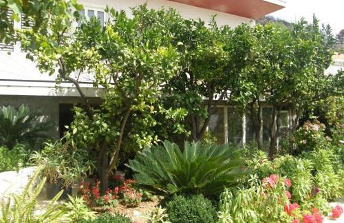 Apartments Lonza - Foto 11