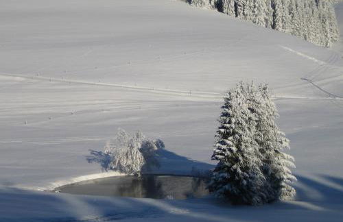 Oberengenbachhof - Foto 10