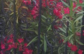 Rifugio della Pace Piano terra e Primo Piano - Photo 32