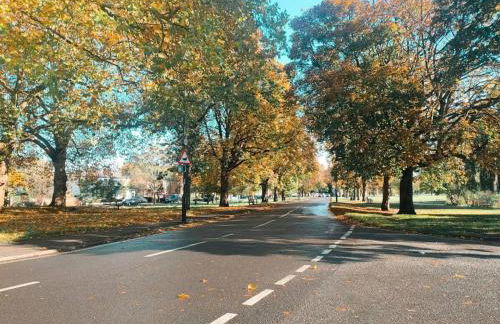 The Sandy Studio Flat in Petersham - Foto 19