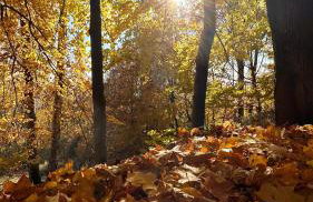 Sowie Chatki - domki z widokiem na Góry Sowie - Foto 59