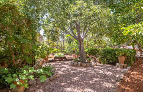 Can Toni Gat - Foto 57