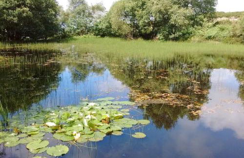 Ty Hen - Quirky Grade II Listed Cottage - Foto 23