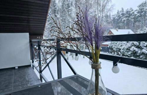 SAN ESCOBAR sauna jacuzzi jezioro - Foto 1