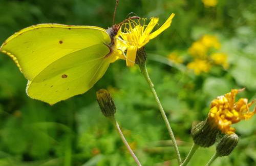 Apartment Bär by Interhome - Foto 77