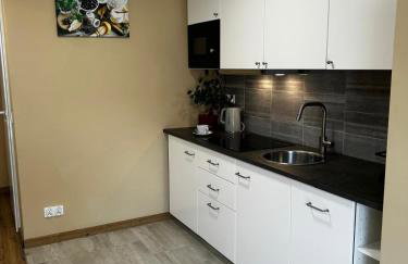 Apartamenty pod Szczęśliwym Koniem - Foto 25
