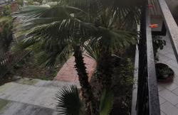 Greenhouse - Foto 13