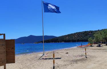 Theoxenia - Foto 2