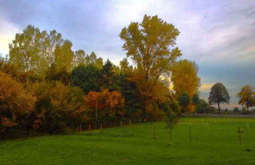 Apartments Mester - Foto 3